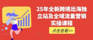 25年全新跨境出海独立站及全域流量营销实操课程,跨境电商独立站TIKTOK全域营销普货特货玩法大全-rose网创