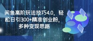 闲鱼高阶玩法技巧4.0,轻松日引300+精准创业粉,多种变现思路-rose网创