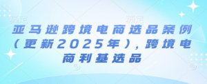 亚马逊跨境电商选品案例(更新2025年3月),跨境电商利基选品-rose网创