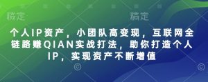 个人IP资产,小团队高变现,互联网全链路赚QIAN实战打法,助你打造个人IP,实现资产不断增值-rose网创