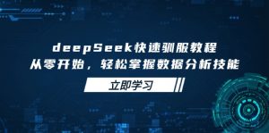 deepSeek快速驯服教程，从零开始，轻松掌握数据分析技能-rose网创