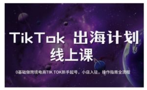 TikTok跨境电商新手起号与运营全攻略,0基础做跨境电商TIKTOK新手起号,小店入驻,操作指南全流程-rose网创