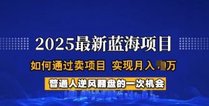 2025蓝海项目,普通人如何通过卖项目,实现月入过W,全过程【揭秘】-rose网创