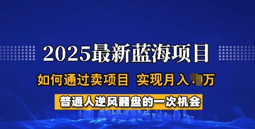 2025蓝海项目,普通人如何通过卖项目,实现月入过W,全过程【揭秘】-rose网创