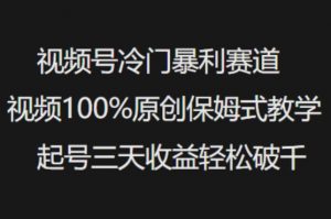 视频号冷门暴利赛道视频100%原创保姆式教学起号三天收益轻松破千-rose网创