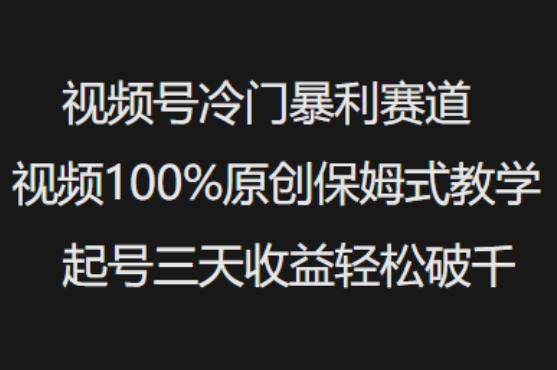 视频号冷门暴利赛道视频100%原创保姆式教学起号三天收益轻松破千-rose网创
