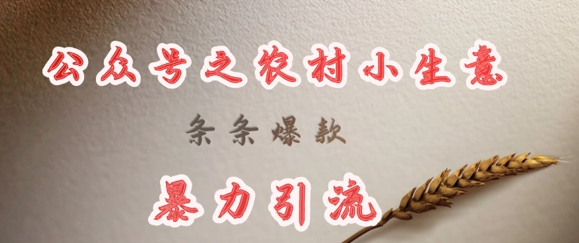 deepseek写农村小项目,条条爆款,暴力引流-rose网创