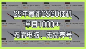 25年最新CSGO挂机系统，单日1000+，无需电脑，无需养号，0基础可上手-rose网创