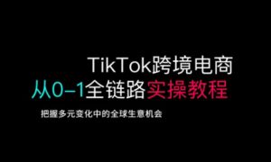 TikTok跨境电商从0-1全链路全方位实操教程,把握多元变化中的全球生意机会-rose网创