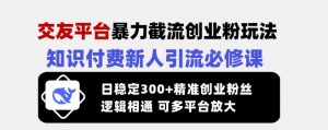 交友平台暴力截流创业粉玩法,知识付费新人引流必修课,日稳定300+精准创业粉丝,逻辑相通可多平台放大-rose网创