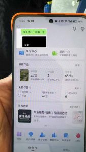 抖音暴力涨粉技术：一天轻松1-10万粉，技术不确定真实性，自测-rose网创
