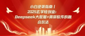 小白逆袭指南，2025玄学轻创业：Deepseek大数据+周易算法的融合玩法-rose网创