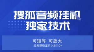 【搜狐音频挂G】独家技术,可矩阵可放大,红利期稳定月入8k【揭秘】-rose网创