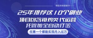 25年推荐这10个副业项目包含褂鸡类、代运营托管类、全自动打金类【揭秘】-rose网创