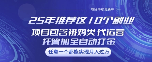 25年推荐这10个副业项目包含褂鸡类、代运营托管类、全自动打金类【揭秘】-rose网创