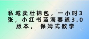 私域卖壮锦包,一小时3张,小红书蓝海赛道3.0版本, 保姆式教学-rose网创