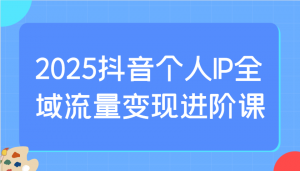 2025抖音个人IP全域流量变现进阶课：选爆品、抖音付费投流、千川投流实操及优化等-rose网创