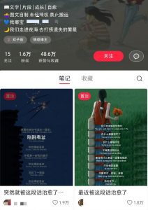 小红书治愈文案图文笔记，零门槛，一分钟制作轻松制作爆款作品月入万元-rose网创
