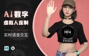 Ai数字人虚拟(智能体)实时语音交互特训营,自行定制超写实角色AI数字人交互技术-rose网创
