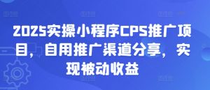 2025实操小程序CPS推广项目,自用推广渠道分享,实现被动收益-rose网创