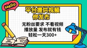 平台提供视频 你发布 无粉丝要求 不看视频播放量 发布就有钱 轻松一天300+-rose网创