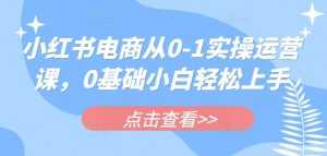 小红书电商从0-1实操运营课,0基础小白轻松上手-rose网创