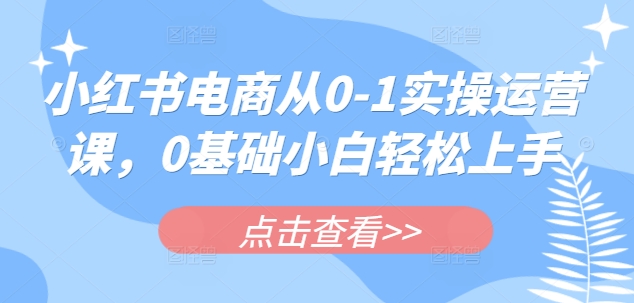 小红书电商从0-1实操运营课,0基础小白轻松上手-rose网创