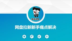 网盘拉新新手痛点解决,网盘引流+变现优化方案-rose网创