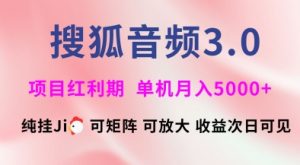 搜狐音频挂ji3.0.可矩阵可放大，独家技术，稳定月入5000+【揭秘】-rose网创