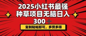 2025小红书最强种草项目,无脑日入300+,复制粘帖即可,多劳多得-rose网创