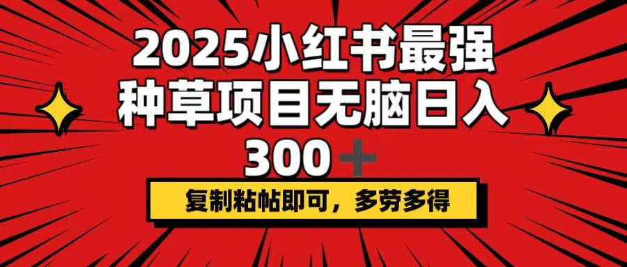 2025小红书最强种草项目，无脑日入300+，复制粘帖即可，多劳多得-rose网创