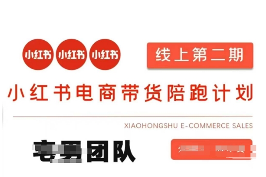 小红书电商带货课2期,月利润20个的小红书电商的有货源,无货源,虚拟产品,付费投流等整套玩法-rose网创