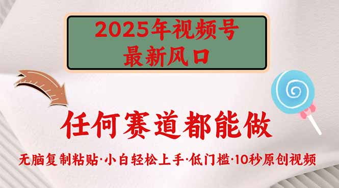 2025年视频号新风口，低门槛只需要无脑执行-rose网创