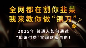 全网都在割你韭菜，我来教你做镰刀,2025普通人如何通过知识付费，实现财F自由【揭秘】-rose网创