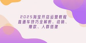 2025淘宝开店运营教程更新，直通车技巧全解析，动销、爆款、人群搭建-rose网创