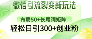 微信引流裂变新玩法：布局50+长尾词矩阵，轻松日引300+创业粉-rose网创