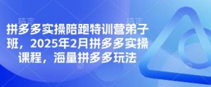 拼多多实操陪跑特训营弟子班，2025年2月拼多多实操课程，海量拼多多玩法-rose网创