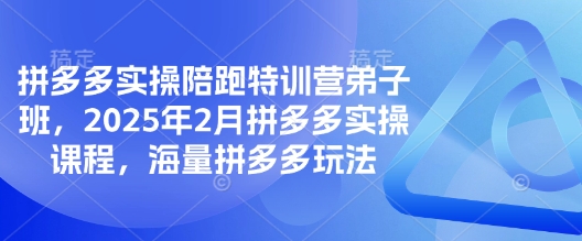拼多多实操陪跑特训营弟子班，2025年2月拼多多实操课程，海量拼多多玩法-rose网创