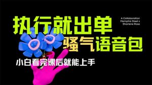 爆火全网的开车导航骚气语音包,只要执行就出单，小白看完课程就能实操...-rose网创