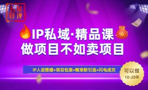 2025年“IP私域·密训精品课”,日赚3000+小白避坑年赚百万,暴力引流...-rose网创