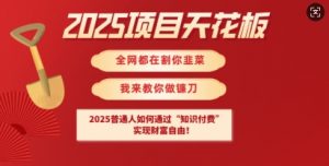 2025项目天花板普通人如何通过知识付费，实现财F自由【揭秘】-rose网创
