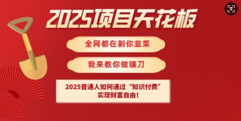 2025项目天花板普通人如何通过知识付费,实现财F自由【揭秘】-rose网创