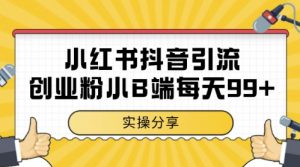 小红书抖音创业粉，小B端粉自热，日引99+的一个玩法【揭秘】-rose网创