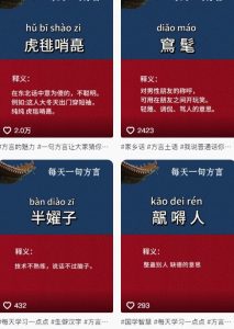 抖音最新涨粉玩法，图文方言暴力涨粉实操，126作品涨粉11W-rose网创