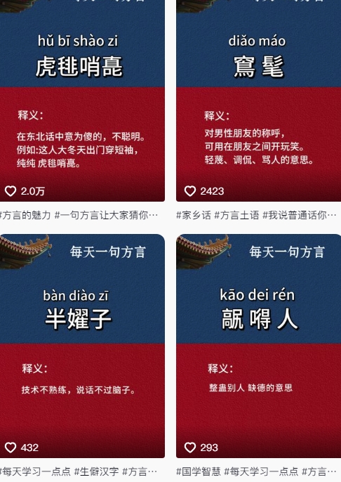 抖音最新涨粉玩法，图文方言暴力涨粉实操，126作品涨粉11W-rose网创