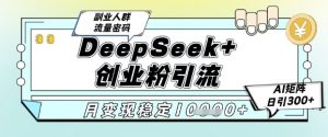 DeepSeek+创业粉精准引流,全新分享课4.0玩法,AI矩阵日引300+,多种变现方式,稳定月入1W-rose网创
