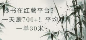 抄书在小红薯平台？平均一单30米，一天收益几张！-rose网创