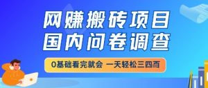 网创搬砖项目,国内问卷调查,小白轻松上手,一天三四张的也不难,干就完了【揭秘】-rose网创