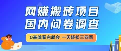 网创搬砖项目,国内问卷调查,小白轻松上手,一天三四张的也不难,干就完了【揭秘】-rose网创