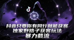 抖音只要你有同行就能获客，独家野路子获客玩法，暴力截流【揭秘】-rose网创